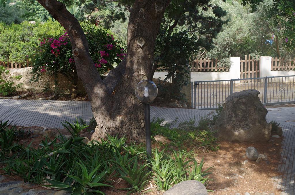 טורה דלה סטלה Villa Bonu מראה חיצוני תמונה