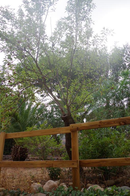 טורה דלה סטלה Villa Bonu מראה חיצוני תמונה