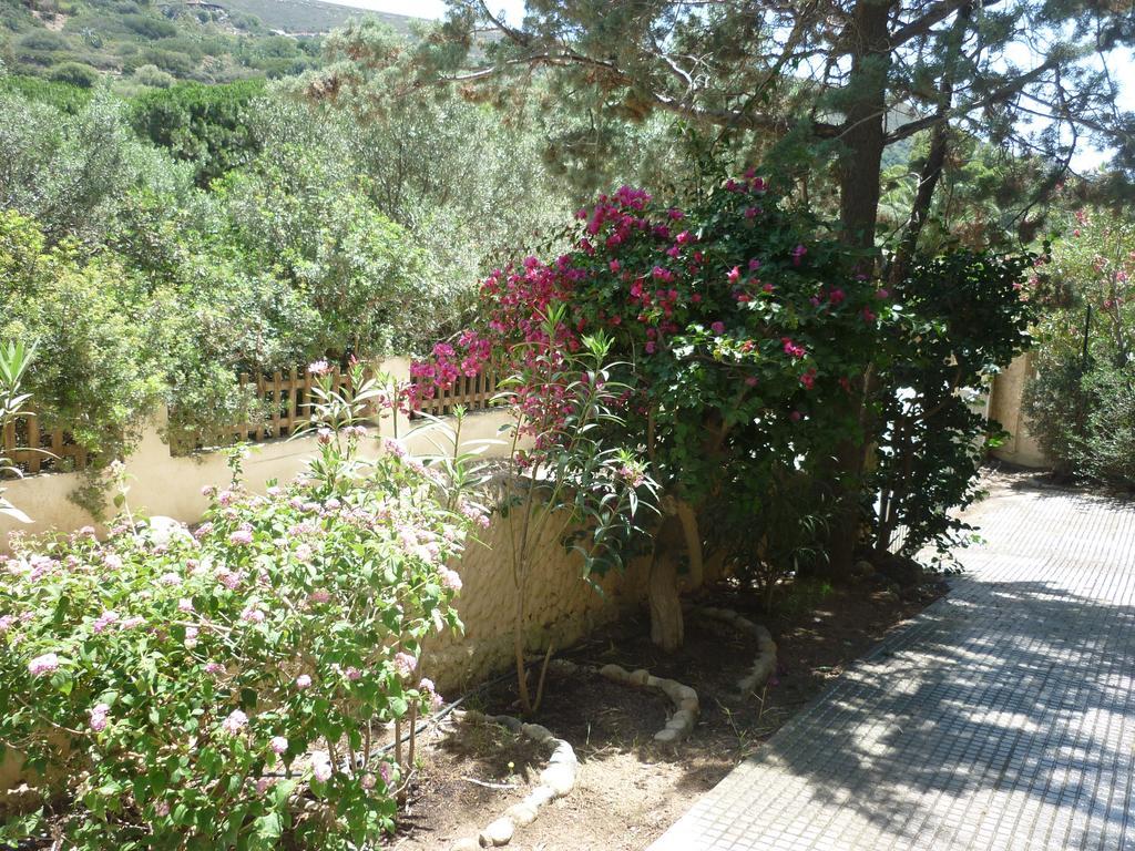 טורה דלה סטלה Villa Bonu מראה חיצוני תמונה